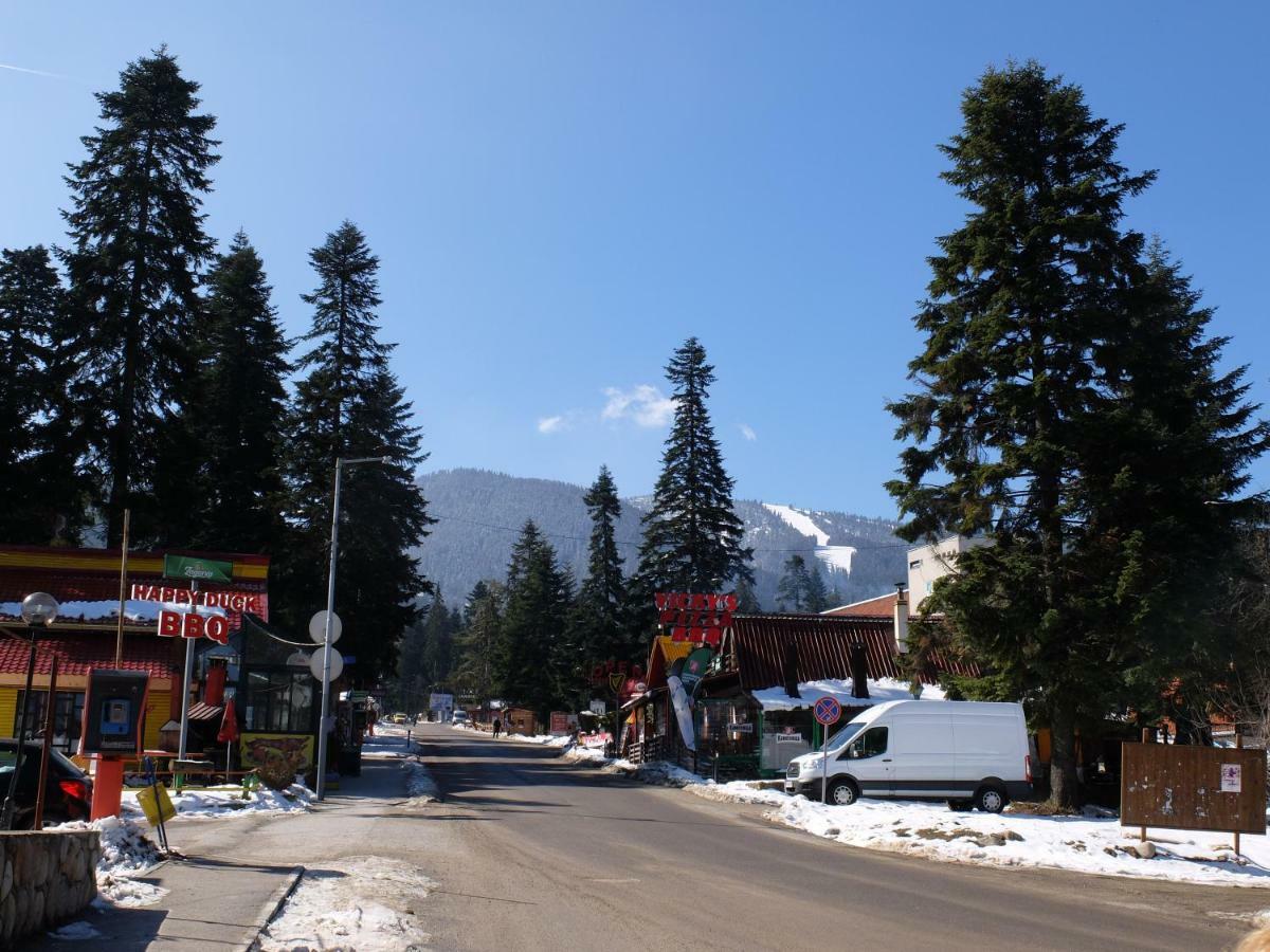 Borovets Apartment, Villa Park Exterior foto